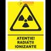 Indicator pentru radiatii ionizante
